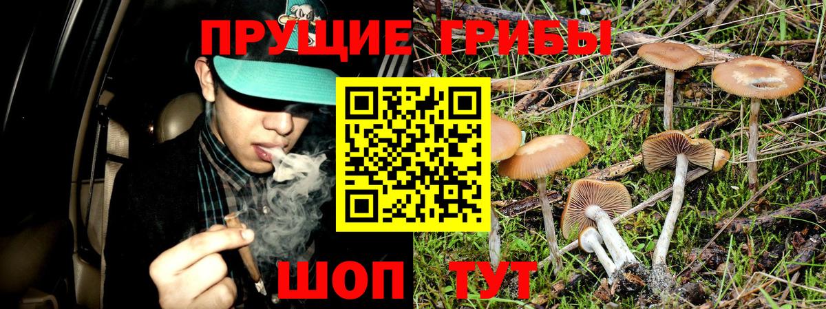 ГАШИШ  ГАШ  Каннабис  Марихуана  Меф кристаллы  Нурлат  Вход с VPN  КОКАИН 